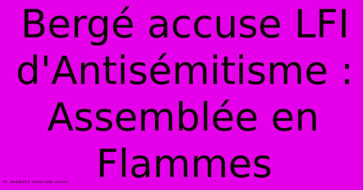 Bergé Accuse LFI D'Antisémitisme : Assemblée En Flammes