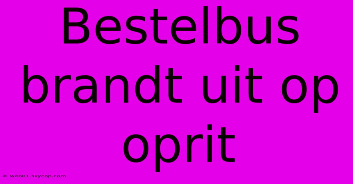 Bestelbus Brandt Uit Op Oprit