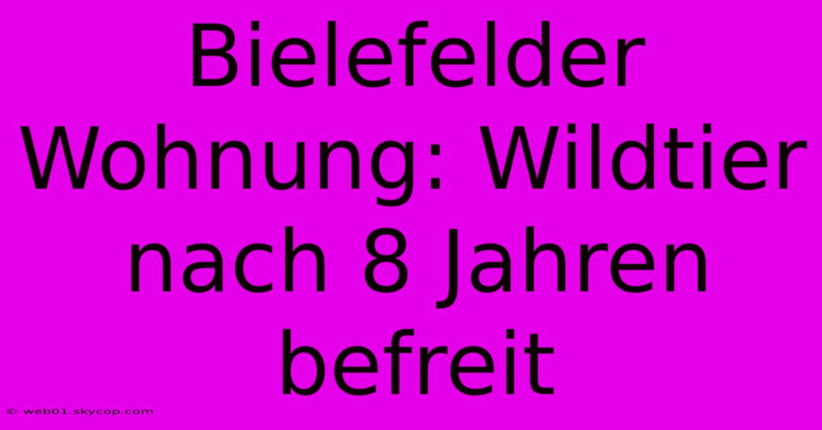 Bielefelder Wohnung: Wildtier Nach 8 Jahren Befreit