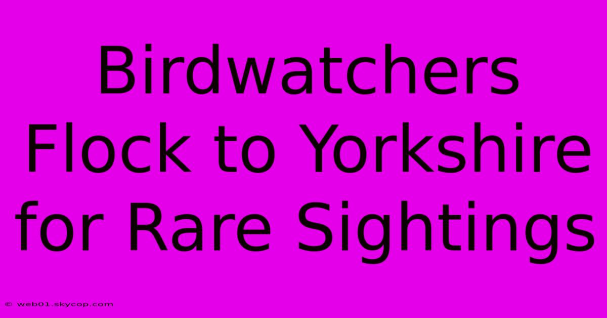 Birdwatchers Flock To Yorkshire For Rare Sightings