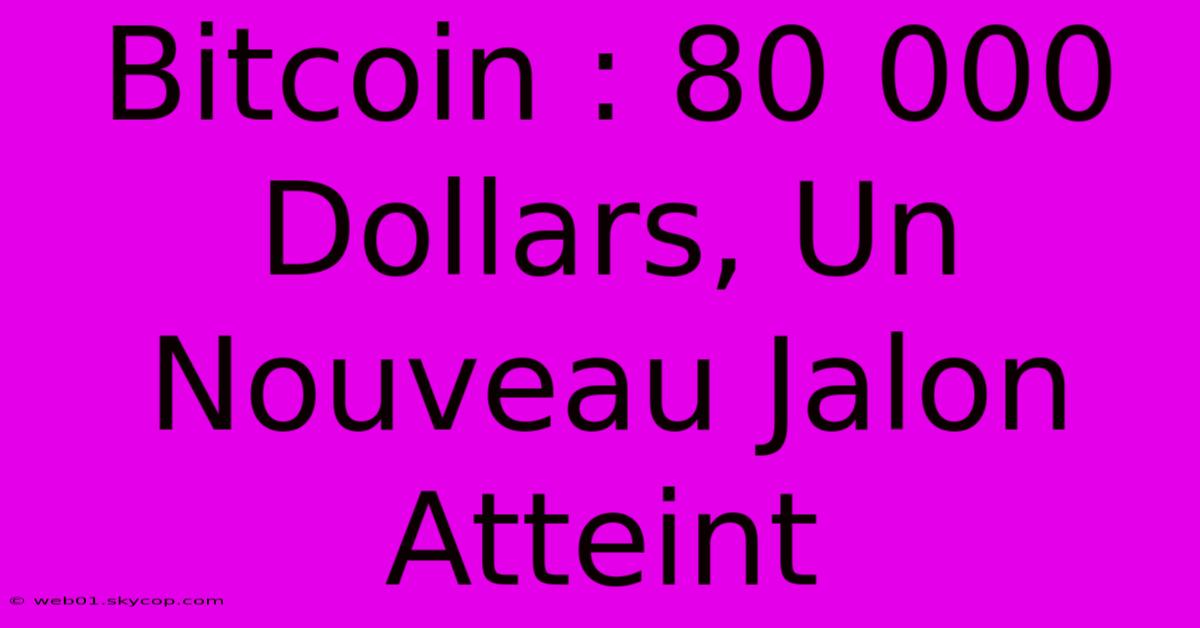 Bitcoin : 80 000 Dollars, Un Nouveau Jalon Atteint 