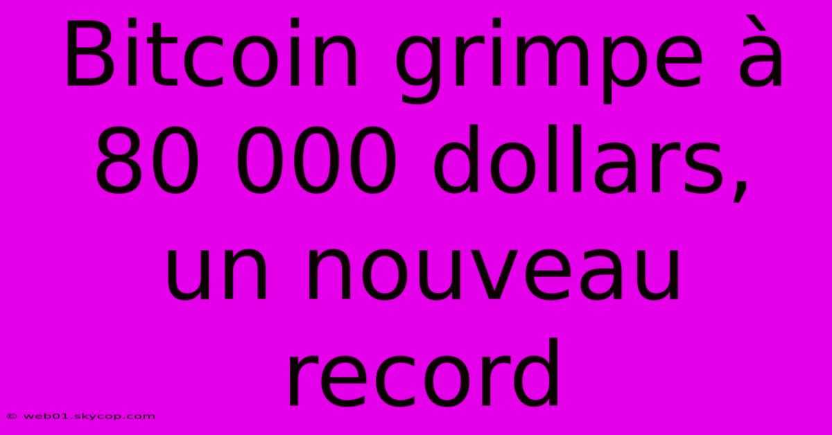 Bitcoin Grimpe À 80 000 Dollars, Un Nouveau Record