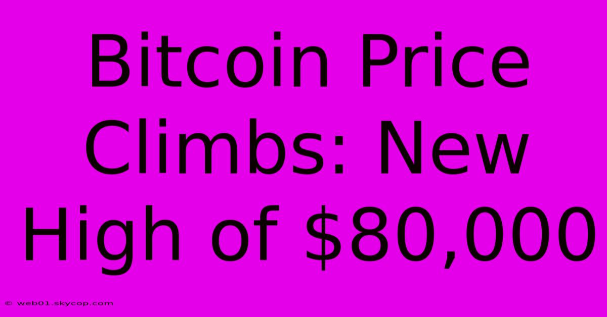 Bitcoin Price Climbs: New High Of $80,000