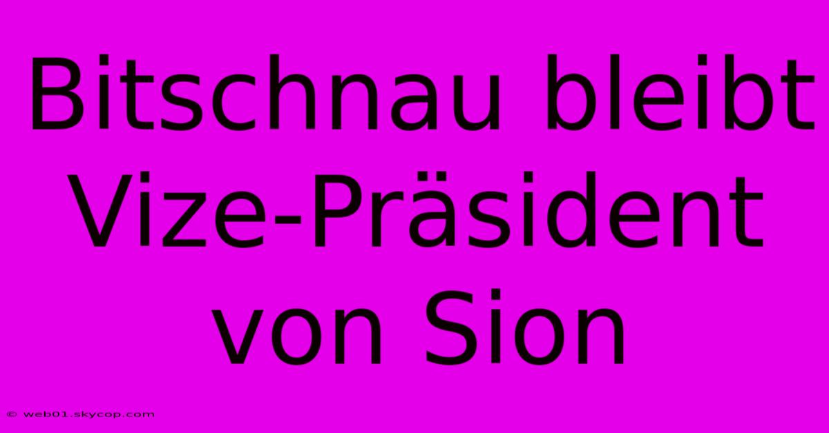 Bitschnau Bleibt Vize-Präsident Von Sion