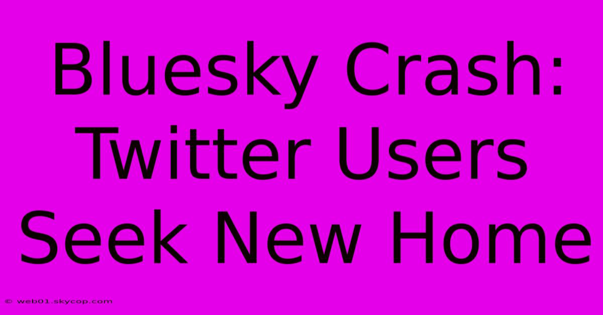 Bluesky Crash: Twitter Users Seek New Home 