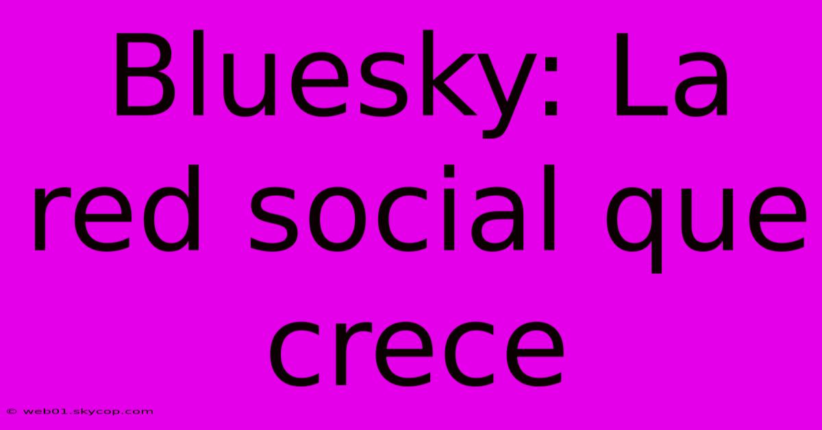 Bluesky: La Red Social Que Crece