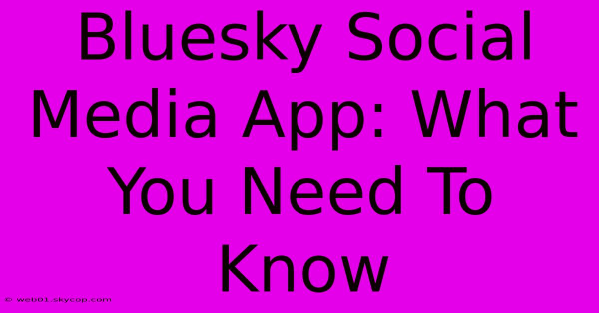 Bluesky Social Media App: What You Need To Know