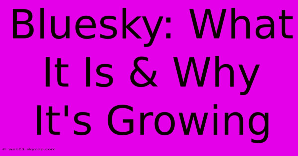 Bluesky: What It Is & Why It's Growing