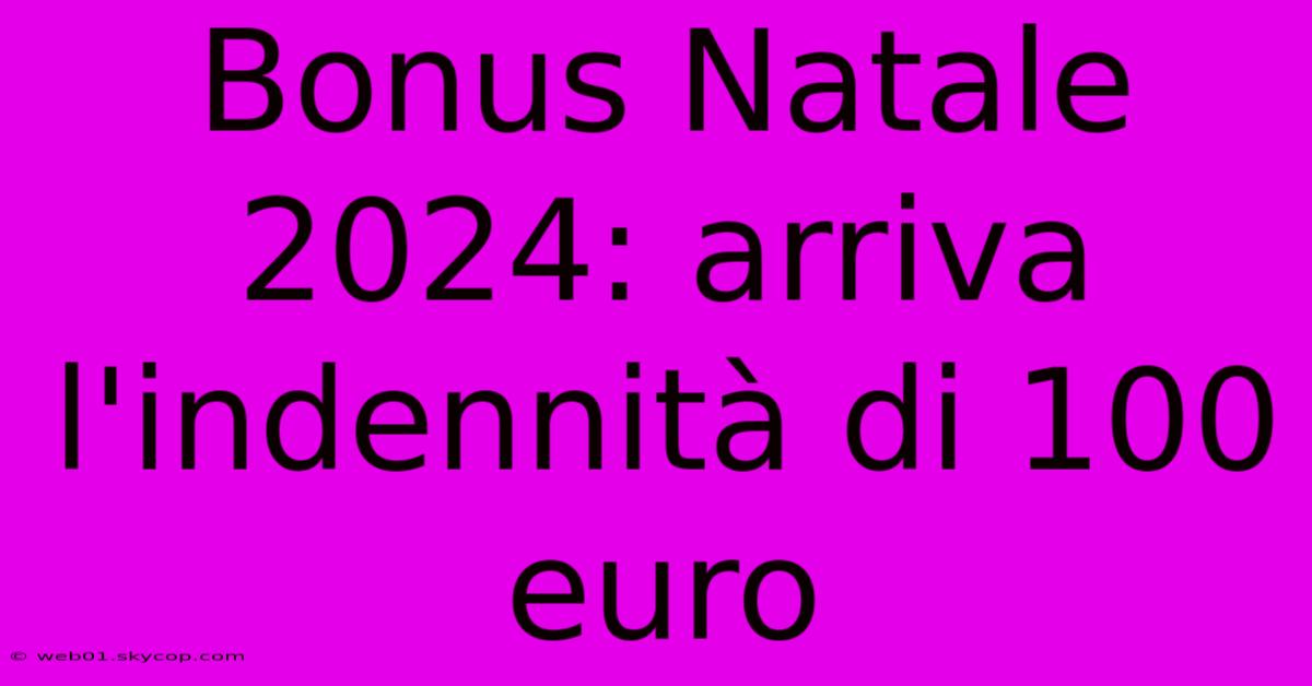 Bonus Natale 2024: Arriva L'indennità Di 100 Euro