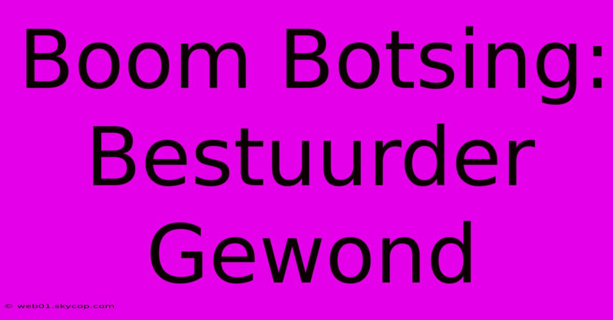 Boom Botsing: Bestuurder Gewond