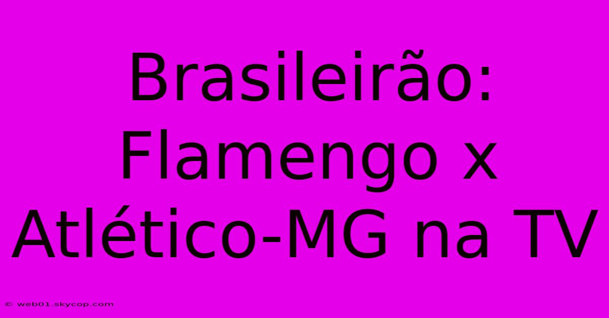 Brasileirão: Flamengo X Atlético-MG Na TV