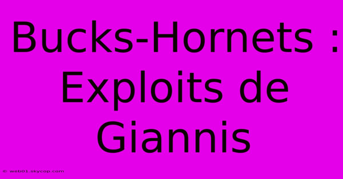 Bucks-Hornets : Exploits De Giannis