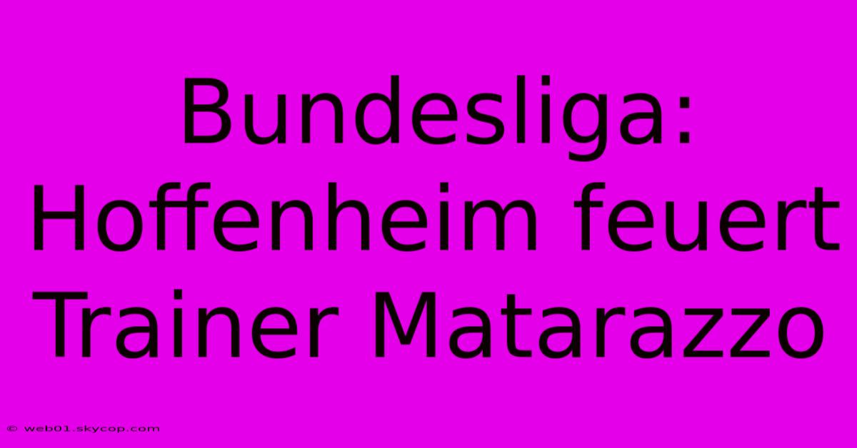 Bundesliga: Hoffenheim Feuert Trainer Matarazzo