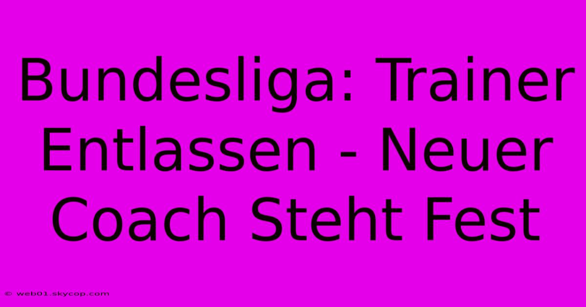 Bundesliga: Trainer Entlassen - Neuer Coach Steht Fest