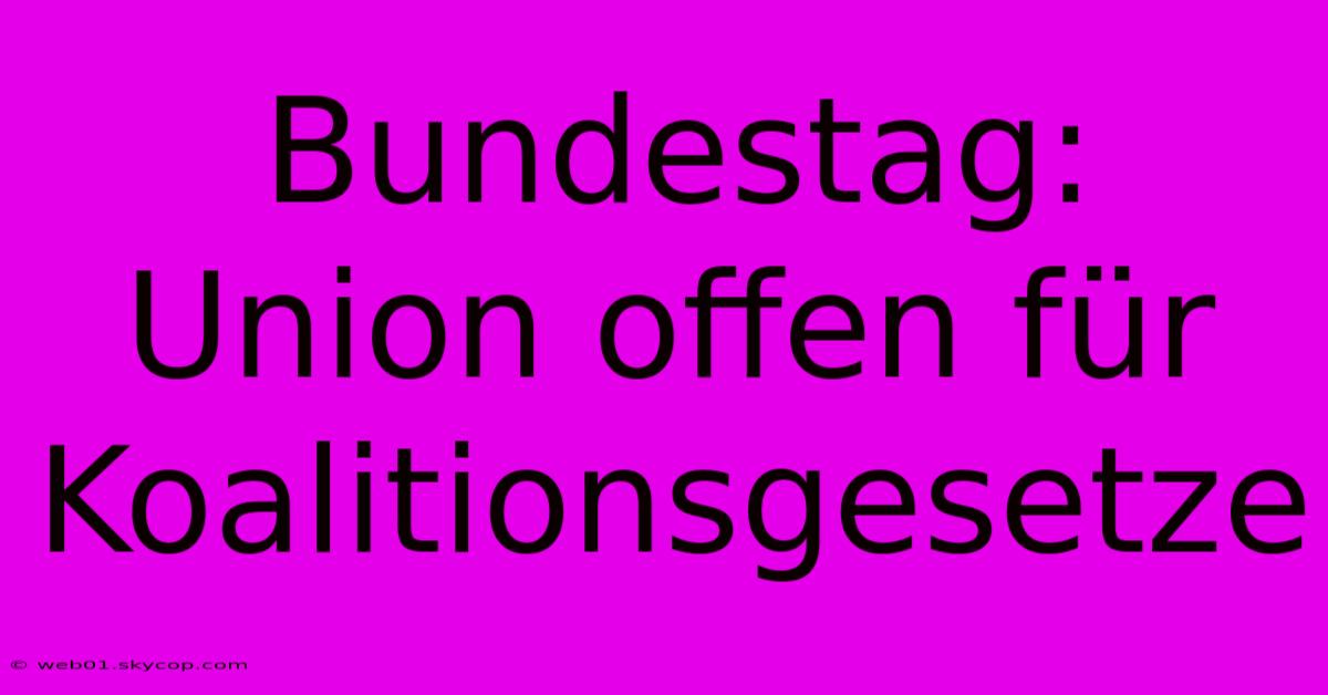 Bundestag: Union Offen Für Koalitionsgesetze