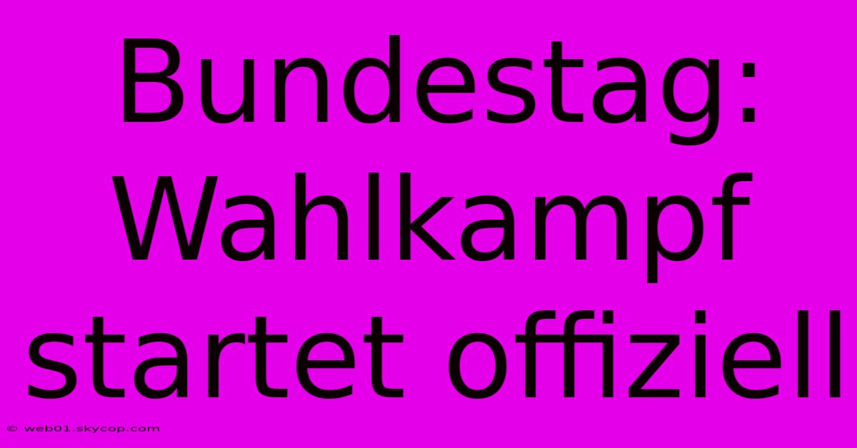 Bundestag: Wahlkampf Startet Offiziell