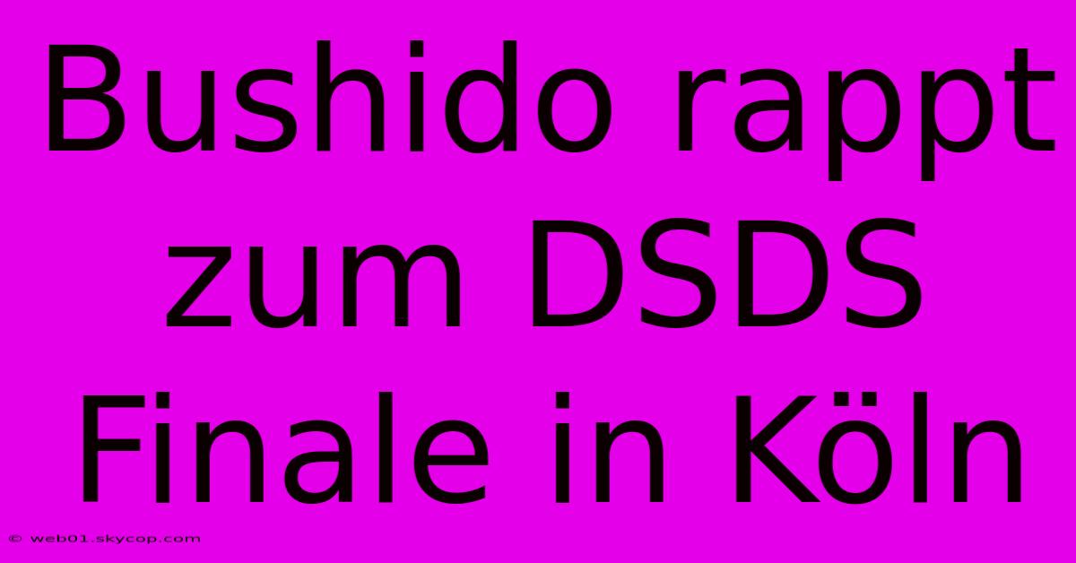 Bushido Rappt Zum DSDS Finale In Köln 