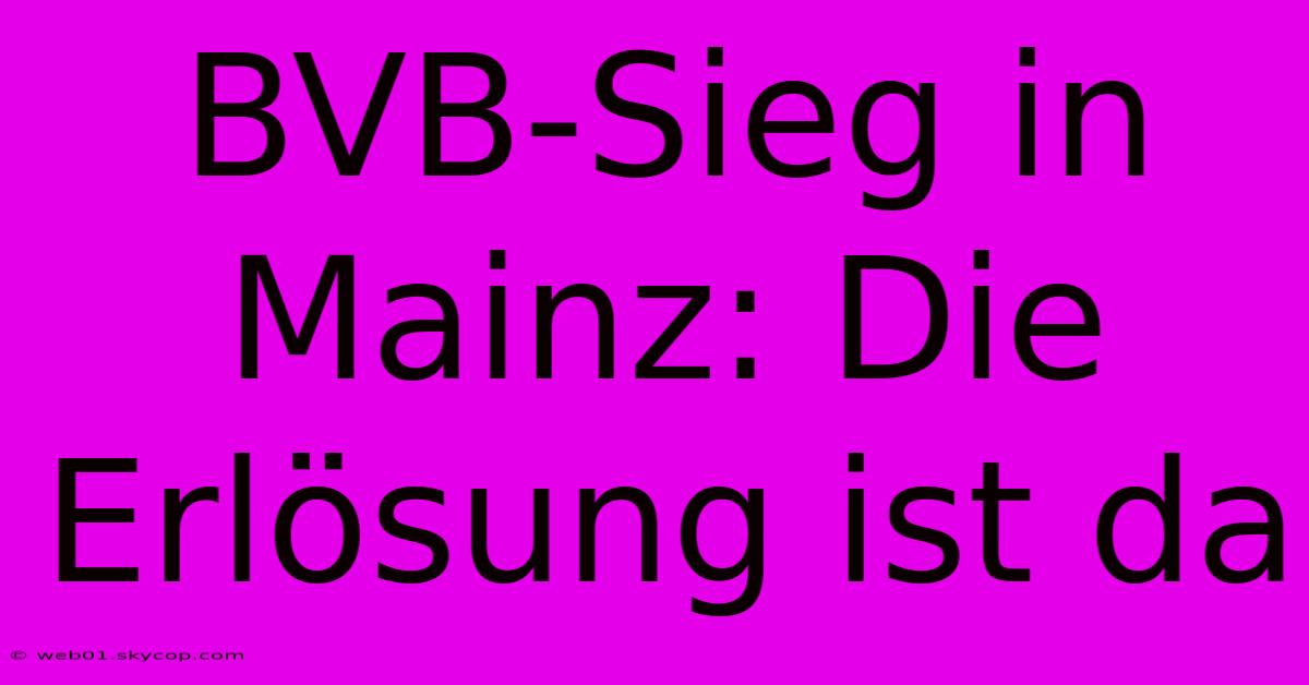 BVB-Sieg In Mainz: Die Erlösung Ist Da