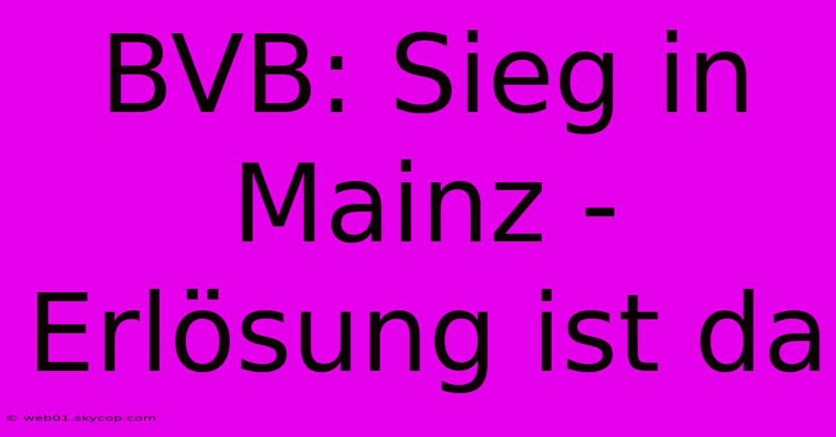 BVB: Sieg In Mainz - Erlösung Ist Da