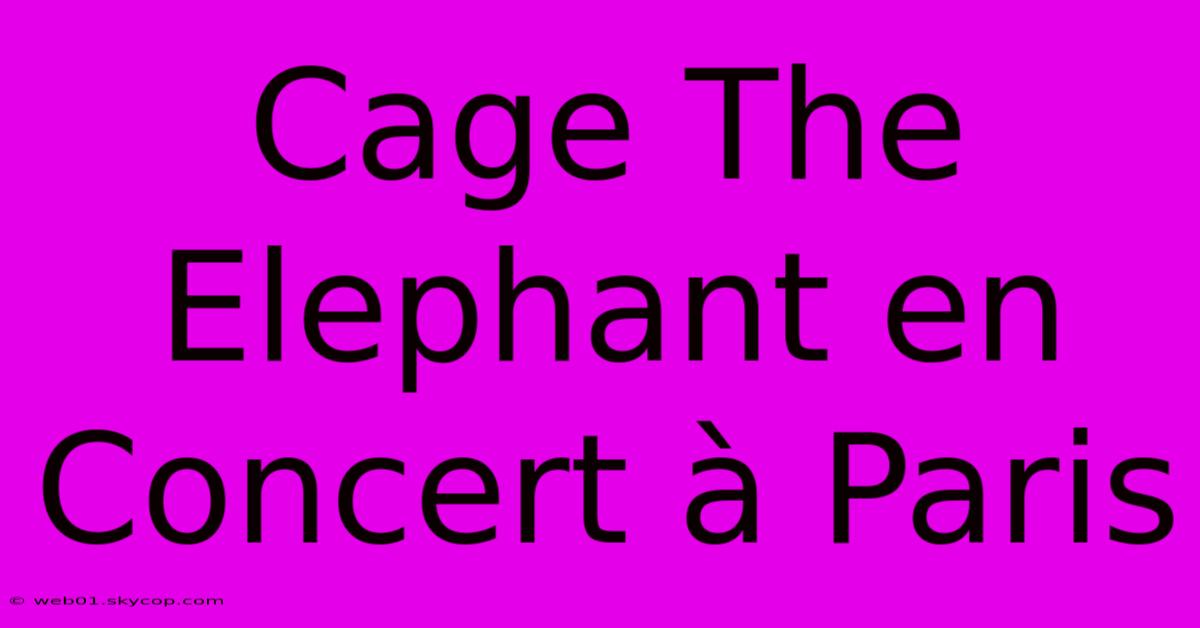 Cage The Elephant En Concert À Paris