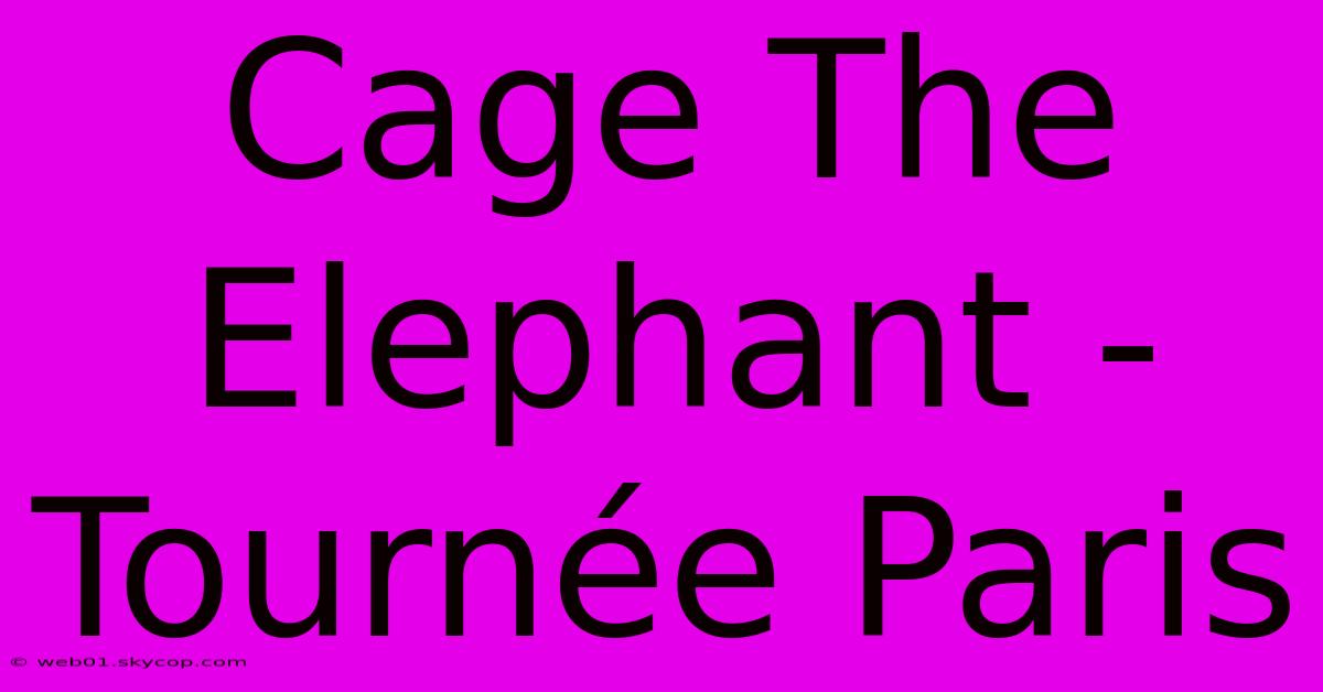 Cage The Elephant - Tournée Paris 