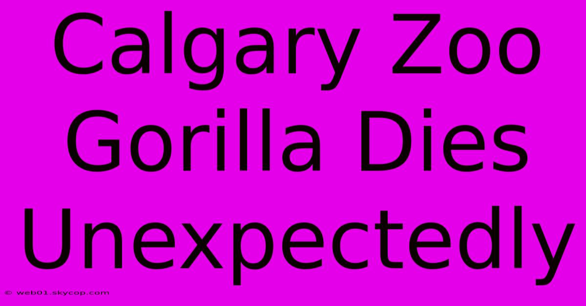 Calgary Zoo Gorilla Dies Unexpectedly