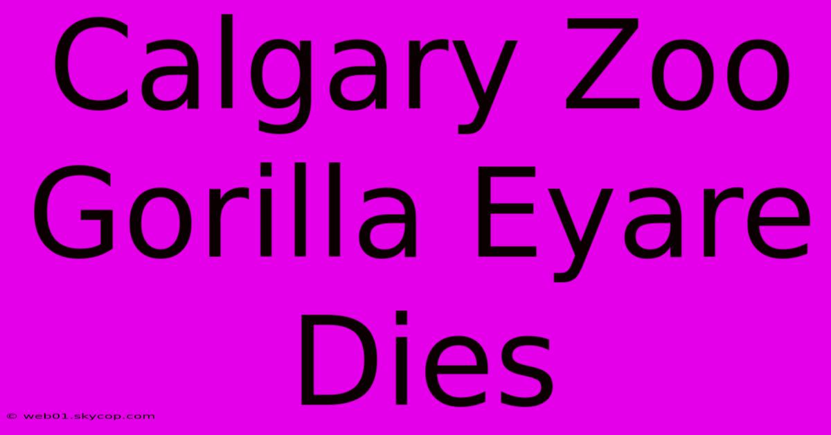 Calgary Zoo Gorilla Eyare Dies