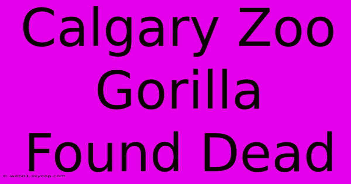 Calgary Zoo Gorilla Found Dead