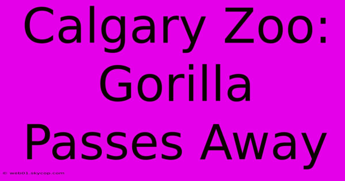 Calgary Zoo: Gorilla Passes Away 