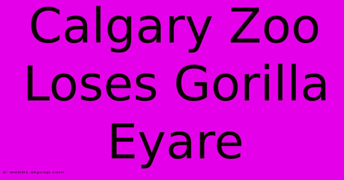 Calgary Zoo Loses Gorilla Eyare