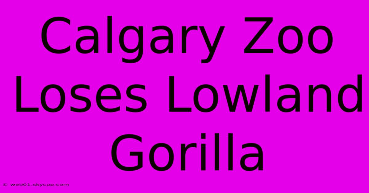 Calgary Zoo Loses Lowland Gorilla