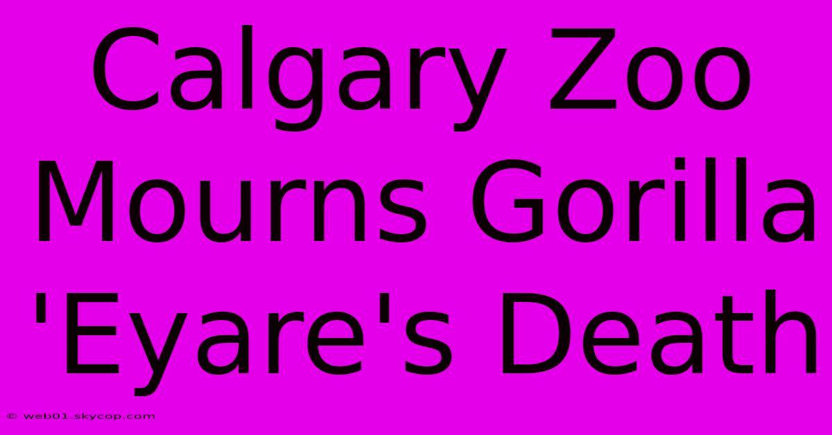 Calgary Zoo Mourns Gorilla 'Eyare's Death