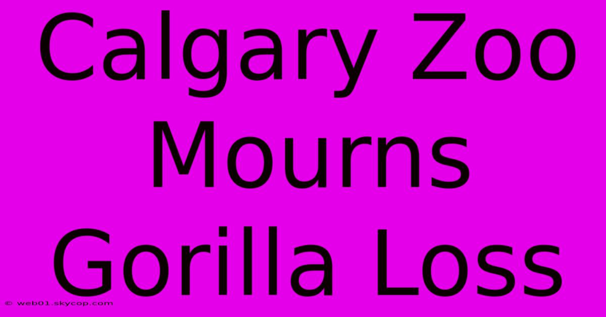 Calgary Zoo Mourns Gorilla Loss