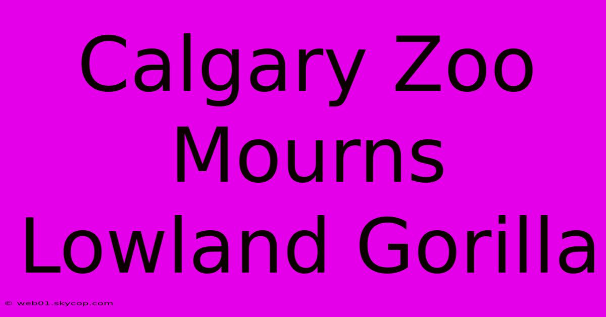 Calgary Zoo Mourns Lowland Gorilla