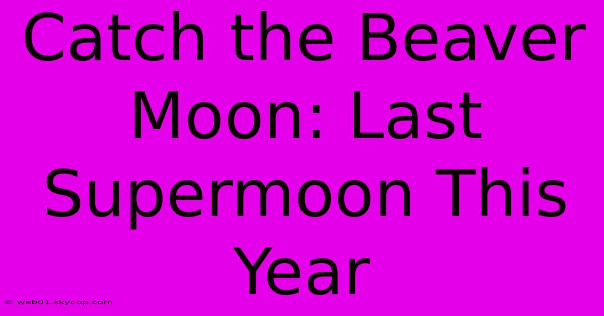 Catch The Beaver Moon: Last Supermoon This Year