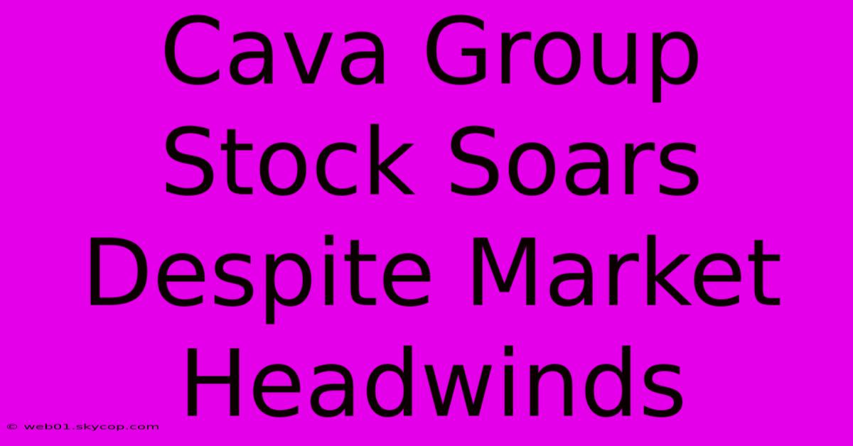 Cava Group Stock Soars Despite Market Headwinds