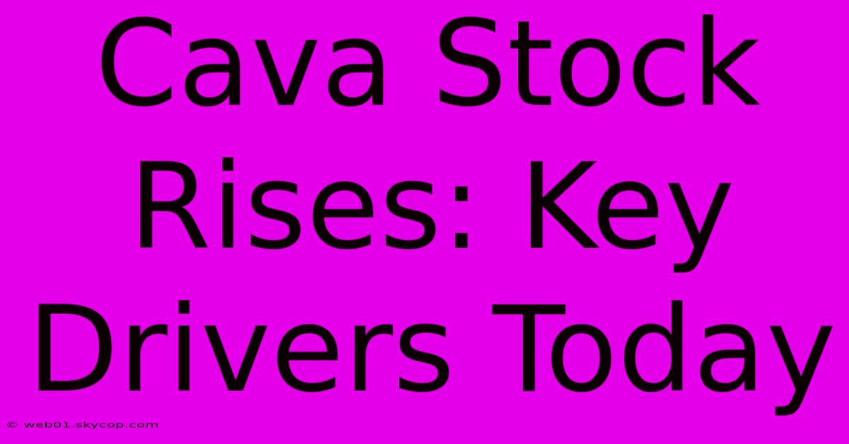 Cava Stock Rises: Key Drivers Today