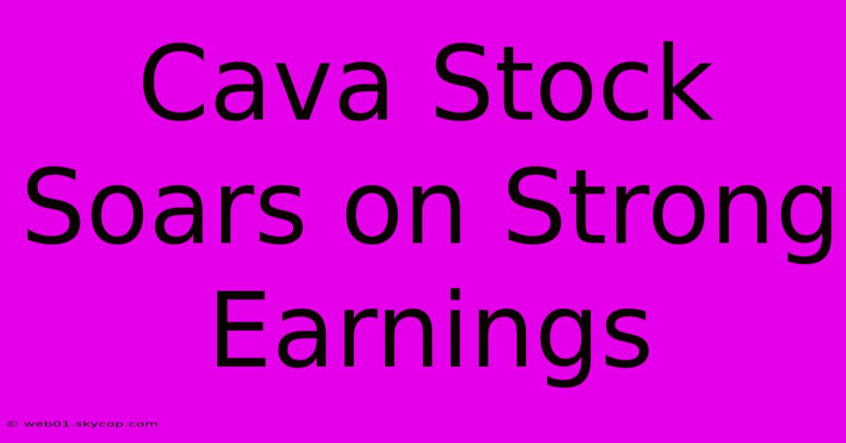 Cava Stock Soars On Strong Earnings