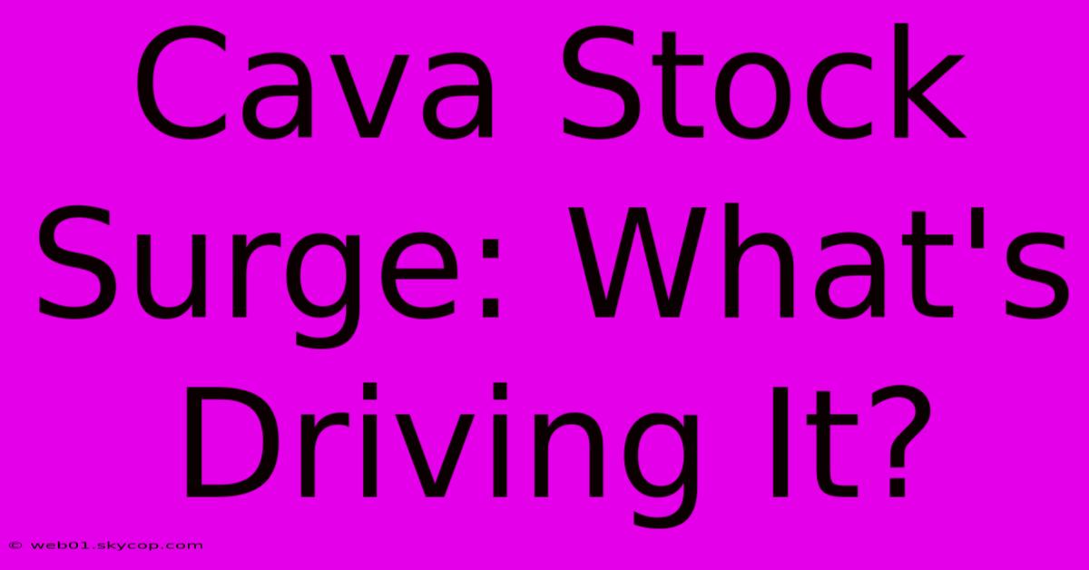 Cava Stock Surge: What's Driving It?