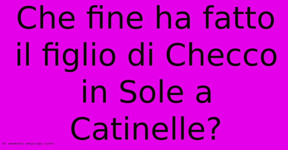 Che Fine Ha Fatto Il Figlio Di Checco In Sole A Catinelle?