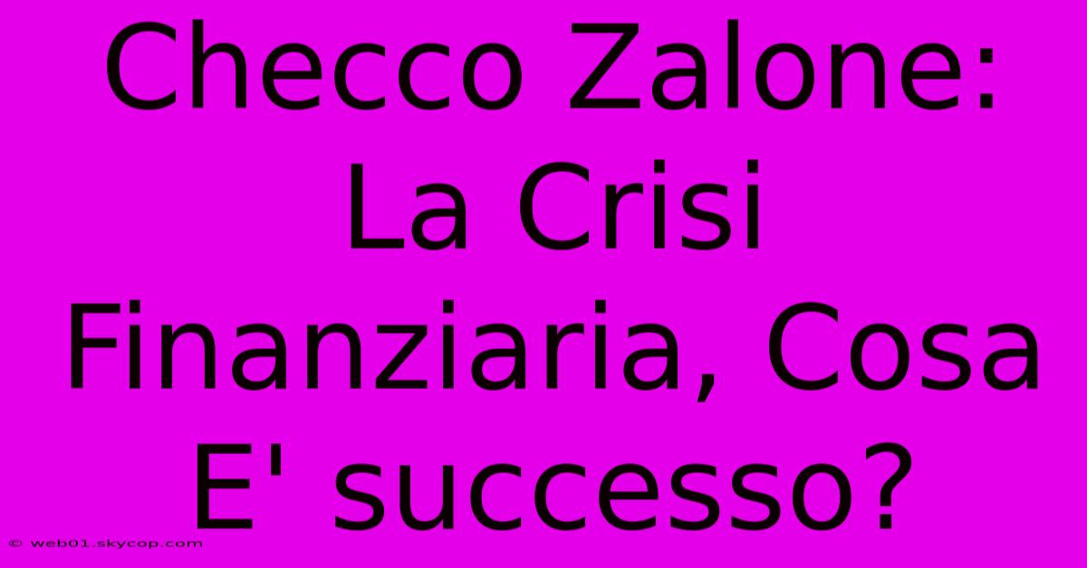 Checco Zalone: La Crisi Finanziaria, Cosa E' Successo? 