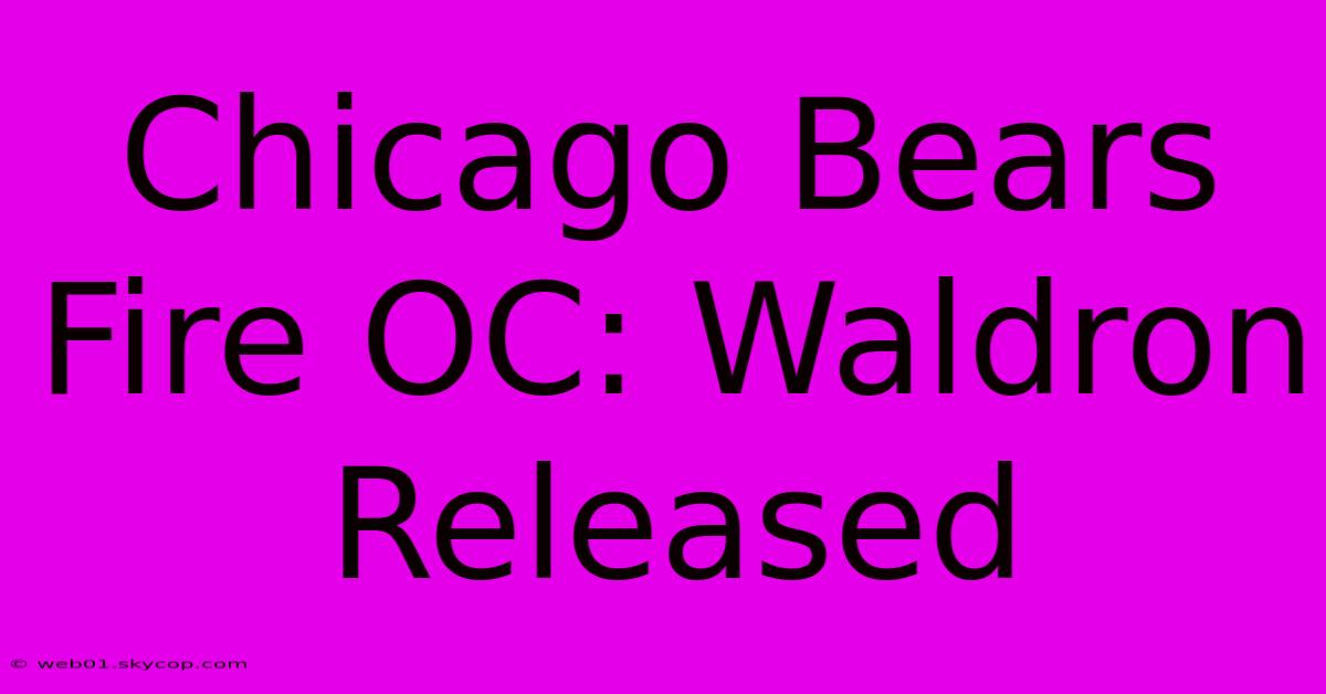 Chicago Bears Fire OC: Waldron Released 