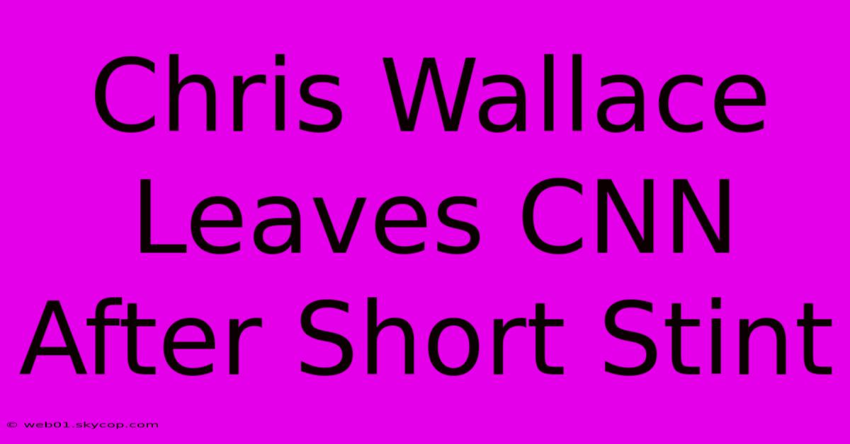 Chris Wallace Leaves CNN After Short Stint