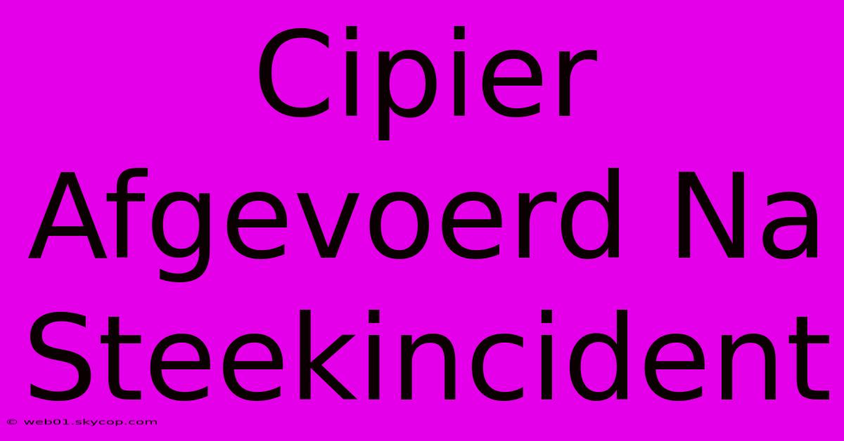 Cipier Afgevoerd Na Steekincident 