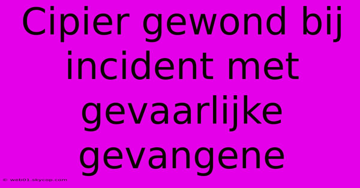 Cipier Gewond Bij Incident Met Gevaarlijke Gevangene