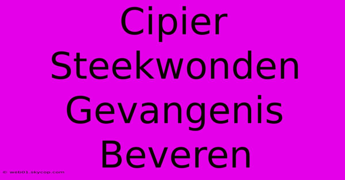 Cipier Steekwonden Gevangenis Beveren