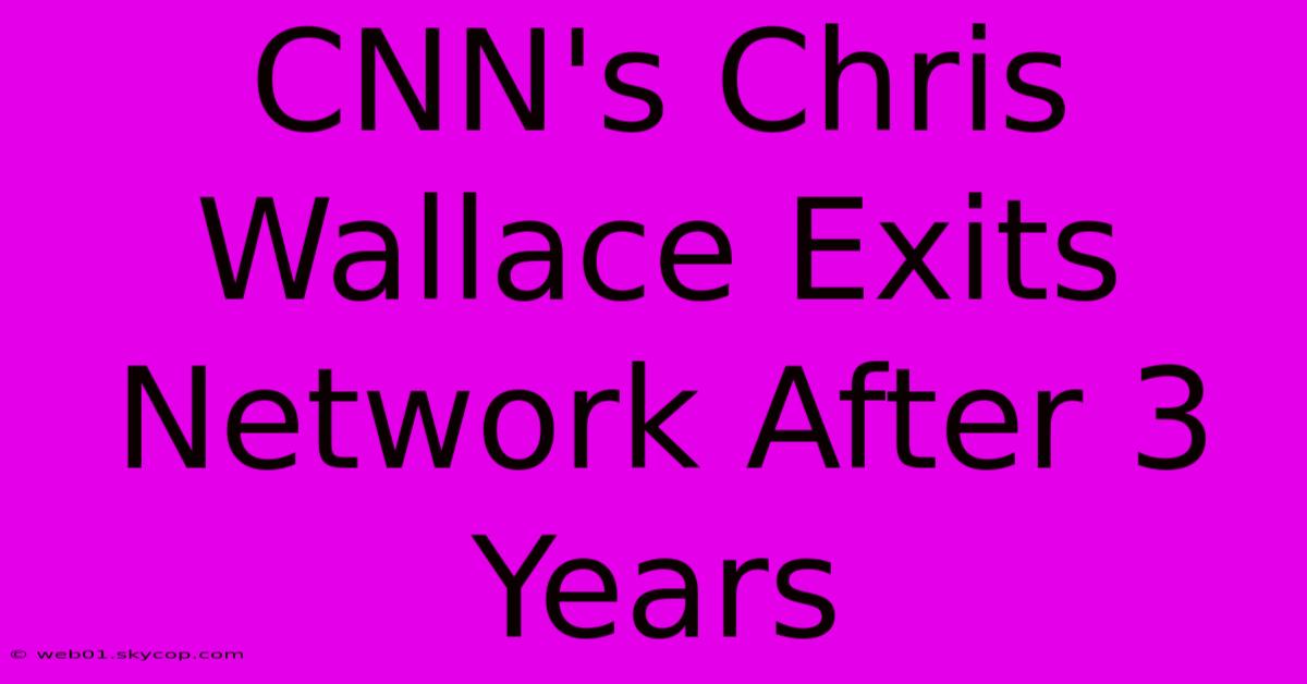 CNN's Chris Wallace Exits Network After 3 Years 