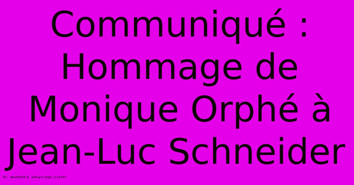 Communiqué : Hommage De Monique Orphé À Jean-Luc Schneider