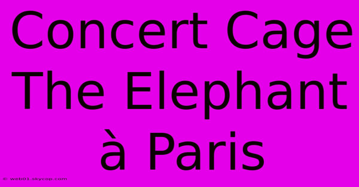 Concert Cage The Elephant À Paris