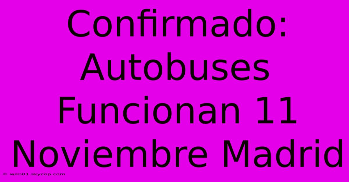 Confirmado: Autobuses Funcionan 11 Noviembre Madrid